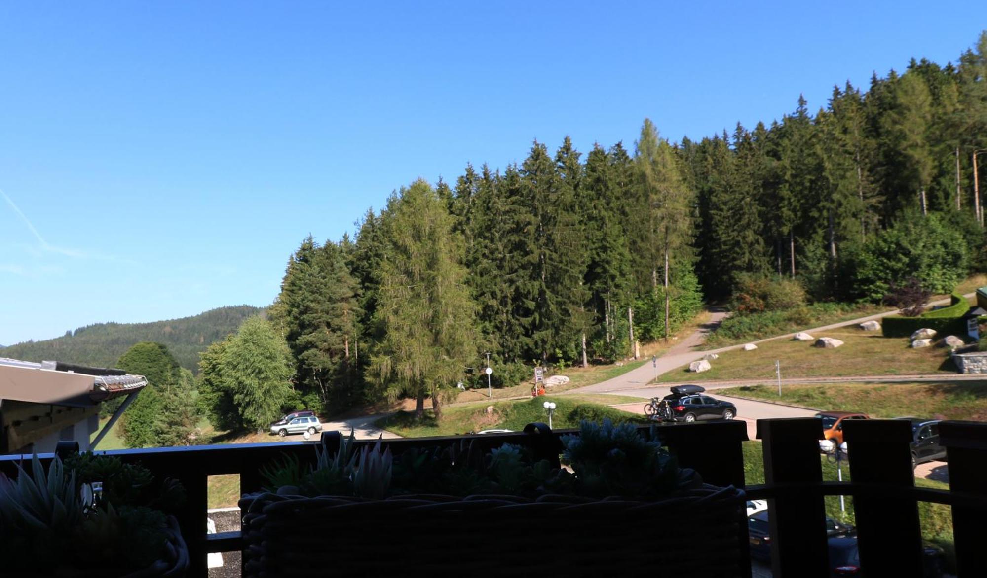 Kurhotel Schluchsee App 24011 - Waldblick - Indoorpool, Schluchsee Exteriör bild